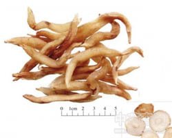 �춬�Ĺ�Ч�c����