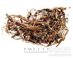 ��ˎ�ϻ��ض��DƬ