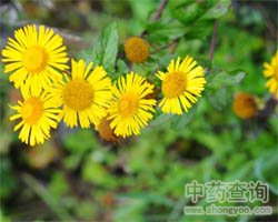 ��ˎˮ��ꖈDƬ