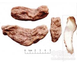 ����Ĺ�Ч�c����