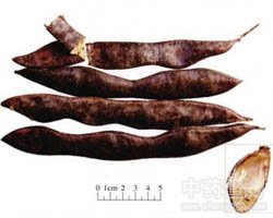 ���ǵĹ�Ч�c����