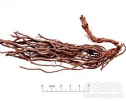 ���`�ɵĹ�Ч�c����