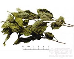 ���m�Ĺ�Ч�c����