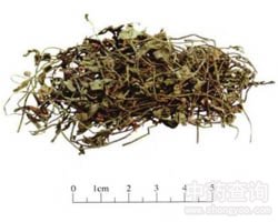 ��߅ɏ�Ĺ�Ч�c����