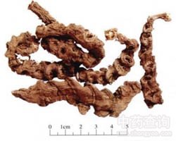 ��(ji��)��