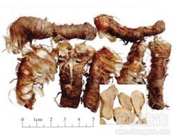 ֪ĸ�Ĺ�Ч�c����