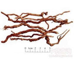 �h(yu��n)־�Ĺ�Ч�c����