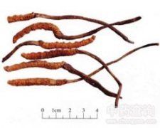 ���x(ch��ng)�Ĳ�