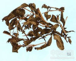 ��ˎ���R�ǈDƬ