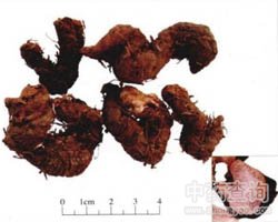 ȭ���Ĺ�Ч�c����