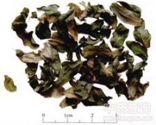 �_�����~