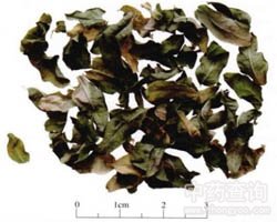 ��ˎ�_�����~�Ĺ�Ч�c����