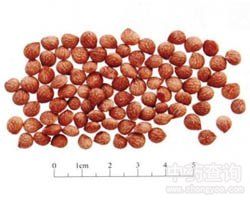 ި�ʵĹ�Ч�c����