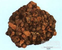 ��ˎ���`֬�DƬ