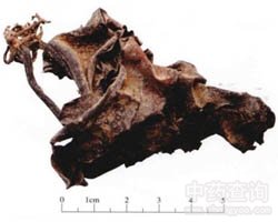 �����Ĺ�Ч�c����