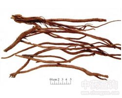 ţϥ�Ĺ�Ч�c����