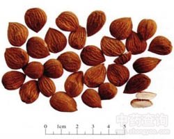 �����ʵĹ�Ч�c����