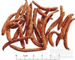 ̫�Ӆ��Ĺ�Ч�c����