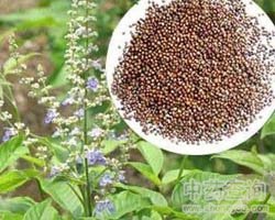 �S�G�ӵĹ�Ч�c����