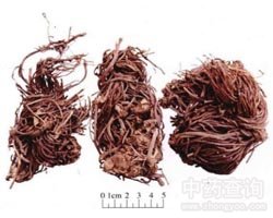 ��Է�Ĺ�Ч�c����