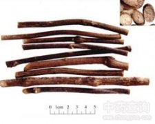 ���L(f��ng)��