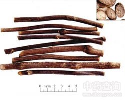 ���L(f��ng)�ٵĹ�Ч�c����