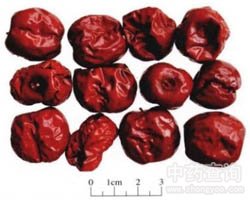 �󗗵Ĺ�Ч�c����