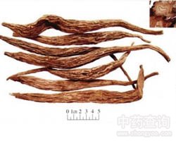 �ٲ��Ĺ�Ч�c����