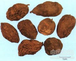 ��ˎ��ţđ�DƬ