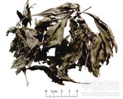 ���~�Ĺ�Ч�c����