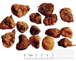 ɽ�ȹ��Ĺ�Ч�c����