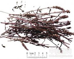 �G��Ĺ�Ч�c����