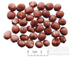 ɏ�ӵĹ�Ч�c����