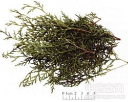 ��ˎ��(c��)���~�Ĺ�Ч�c����