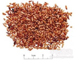 �����ʵĹ�Ч�c����