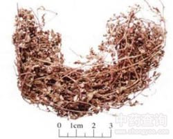 ���\�ݵĹ�Ч�c����