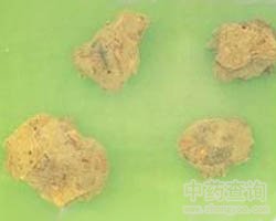 �tˎ����ݹ