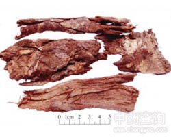 ���GƤ�Ĺ�Ч�c����