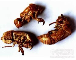 ��ˎ�s͑�DƬ