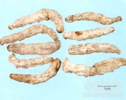 ��ˎ���Q�DƬ