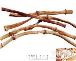 �J���Ĺ�Ч�c����