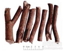 ����ӵĹ�Ч�c����