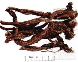 ©�J�Ĺ�Ч�c����