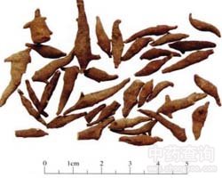 ��ˎ���^��DƬ