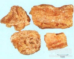 ����Ĺ�Ч�c����