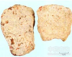 ���S�Ĺ�Ч�c����