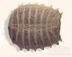 �M�׵Ĺ�Ч�c����