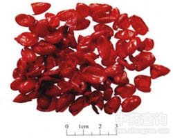 ɽ���ǵĹ�Ч�c����