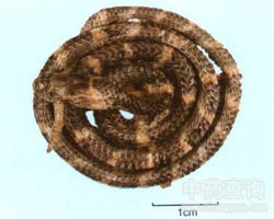 ��ˎ���X�׻��߈DƬ