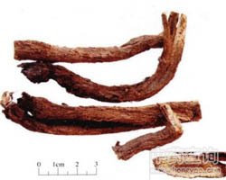 ��ľ��Ĺ�Ч�c����